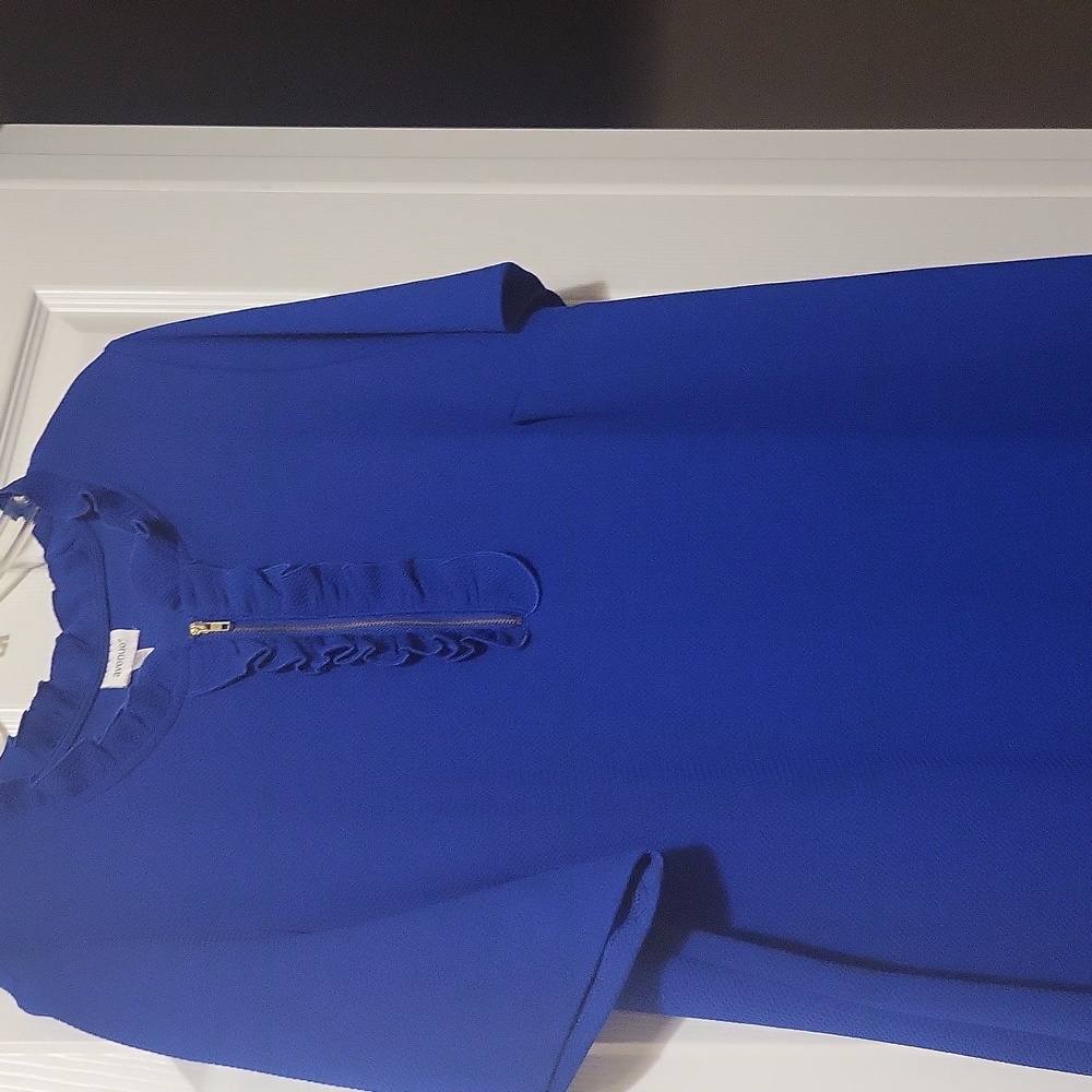 Royal Blue Dress
